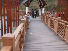 -神光山国家森林公园