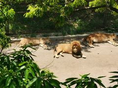 -大连森林动物园