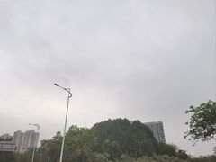 -大亚湾红树林城市湿地公园