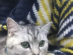 -宠颐生中康贝怡动物医院