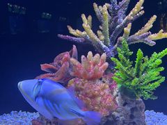 -北海海底世界