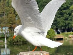 -滇池海埂公园