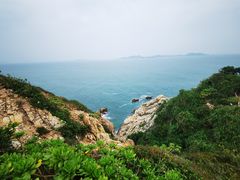 -杨梅坑