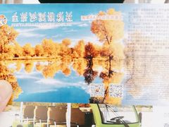 -金塔沙漠胡杨林景区