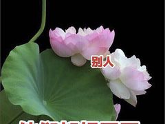 -海梵电竞(峰云街店)