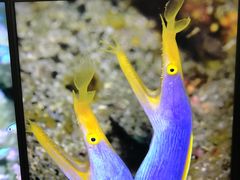-鹿儿岛水族馆