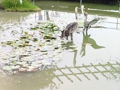 -嘉北郊野公园