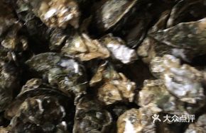 Steamed Fresh Oyster