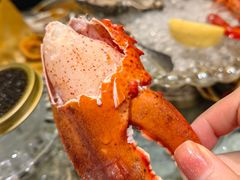 -普朗姆生蚝牛排馆 The Plump Oyster(成都摩方购物中心店)