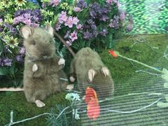 -幸福花欢乐世界(东辰广场A座店)