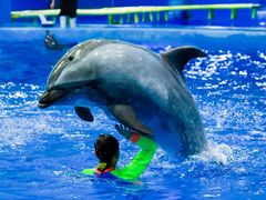 -多彩贵州城极地海洋世界