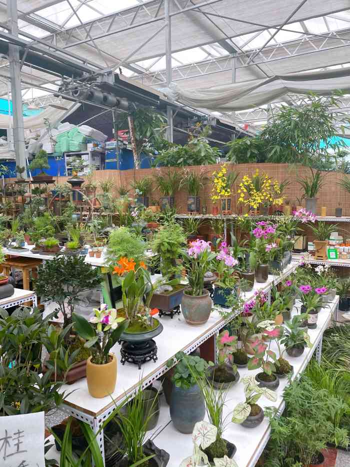 金地花卉大观园嘉茂鑫源绿植鲜花-"离家近 经常来买花 花比较新鲜