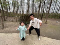 -昆山城市生态森林公园