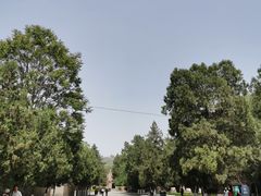 -延安杨家岭革命旧址