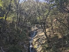 -宁波市保国寺古建筑博物馆