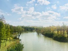 -上海长兴岛郊野公园