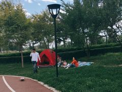 -丁香湖公园