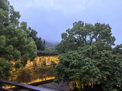 -普陀山雷迪森庄园