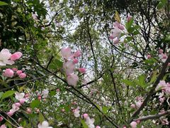 -杭州半山国家森林公园