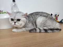 -喵汪宠物生活馆(涞坊路店)