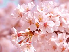 -凤来栖·净庭院·火锅(欧尚店)