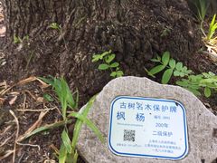 -汇龙潭