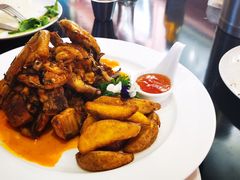 -百好乐宠物友好餐厅(朝外大街店)