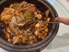 -海派美食·家宴海鲜青岛菜·石锅鲽鱼头(东方城店)