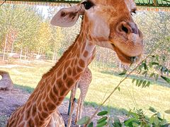 -秦皇岛野生动物园