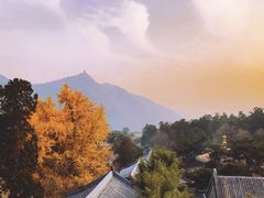 -潭柘寺景区
