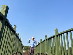 -花博汇(知音花月夜)