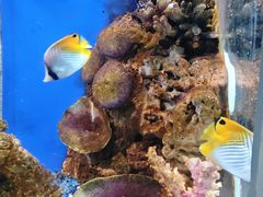 -海合安武汉极地海洋公园