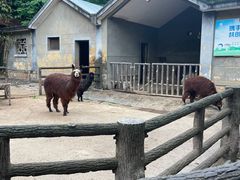 -昆明动物园