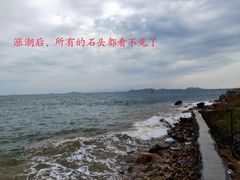 -杨梅坑