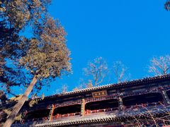 -潭柘寺景区