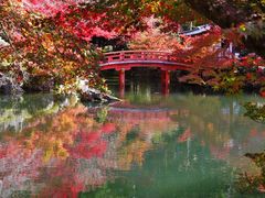-醍醐寺