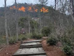 -天台山赤城山景区