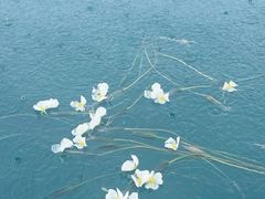 -丽江泸沽湖景区