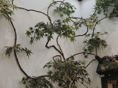 -耳艺采耳·足疗(市桥店)