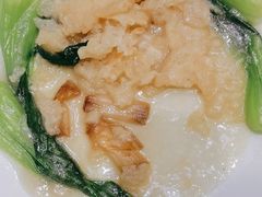 -黄家老店·非遗灌汤包(晋安路店)