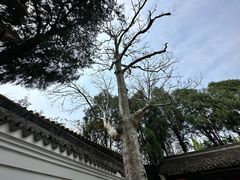 -台州府城(东湖)