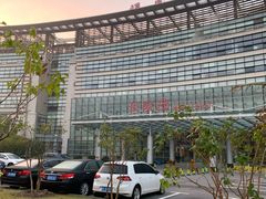 -上海中医药大学附属曙光医院(东部)