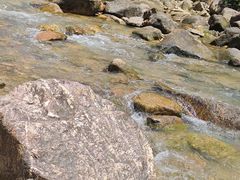 -广州白江湖森林公园