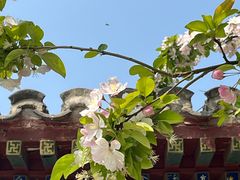 -元大都城垣遗址公园