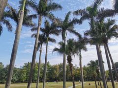 -荔香公园