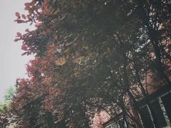 -山东大学(软件园校区)