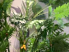 -卡朋西餐(悦汇城店)