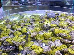 -聚盛源蒸汽海鲜火锅烤肉自助(巨川金海岸购物广场店)