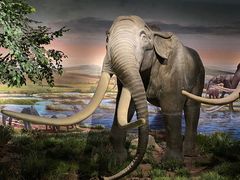 -湖南省地质博物馆