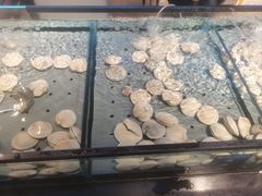 -海天盛宴潮汕蒸汽海鲜高端自助形象店